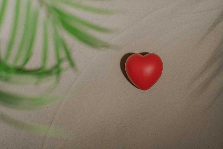 후원 바로가기 배경